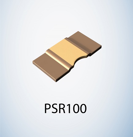 PSR100.jpg